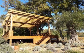 pergola surélevée avec escalier et garde-corps