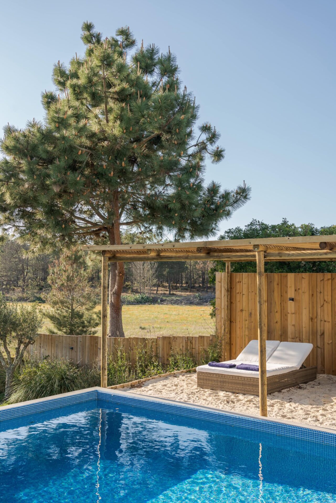 modern-villa-with-pool-and-deck-with-interior-2023-11-27-05-11-42-utc-min Votre pool house en bois à Nice grâce à Déco Charpente